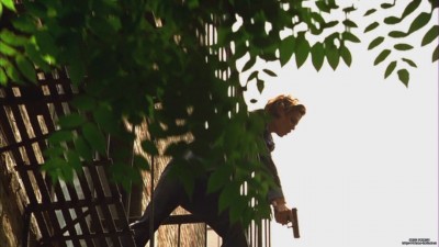 Cliquer pour voir l'image en taille réelle