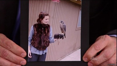 Cliquer pour voir l'image en taille réelle