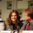 ComicCon10-conf_016.jpg